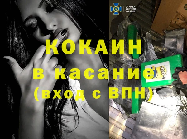 стафф Алзамай