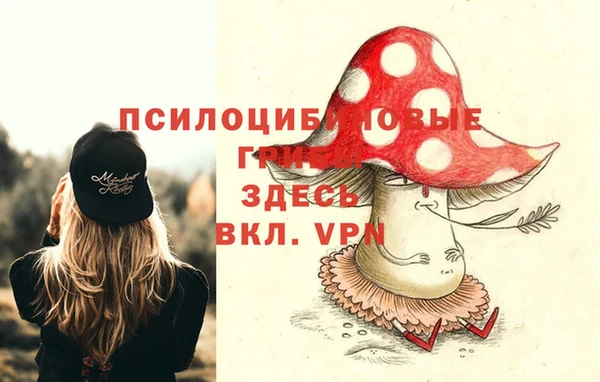 первитин Армянск