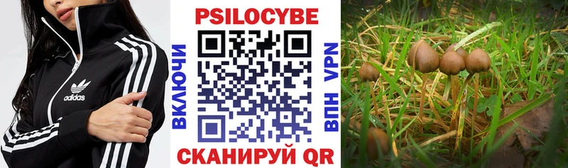 Псилоцибиновые грибы Cubensis  Белинский 